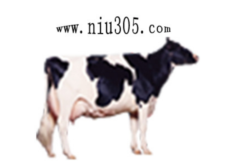 20230316113220012001