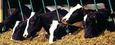 DB�羺(DBGame)�ٷ���վ