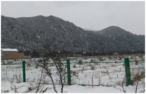 DB�羺(DBGame)�ٷ���վ