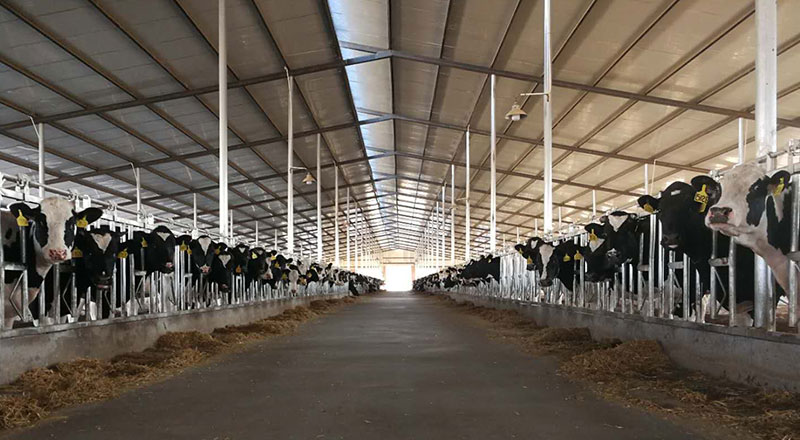 DB�羺(DBGame)�ٷ���վ