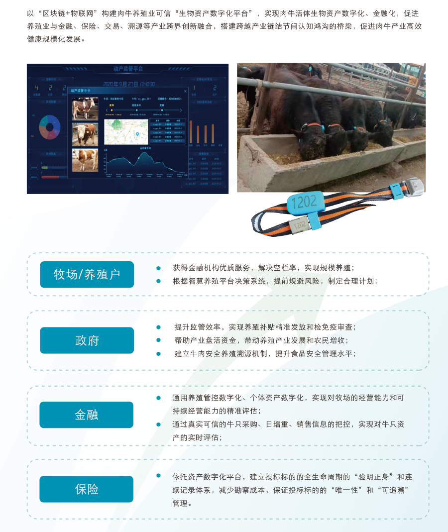 DB�羺(DBGame)�ٷ���վ