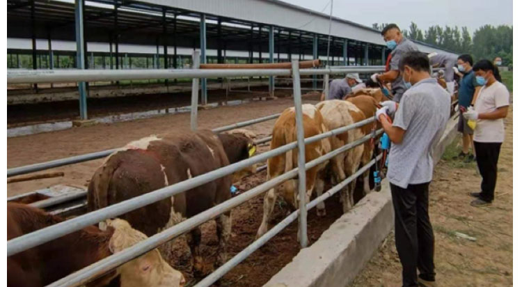 DB�羺(DBGame)�ٷ���վ