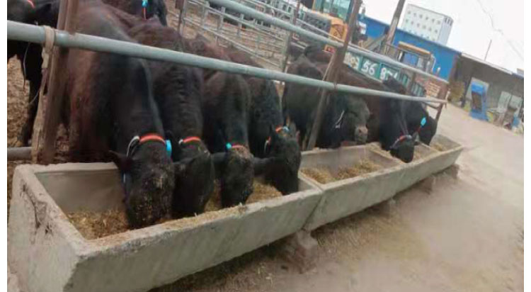 DB�羺(DBGame)�ٷ���վ