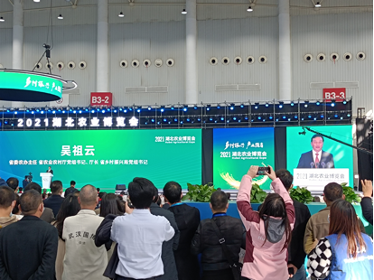 DB�羺(DBGame)�ٷ���վ