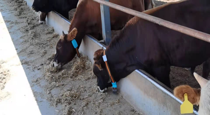 DB�羺(DBGame)�ٷ���վ