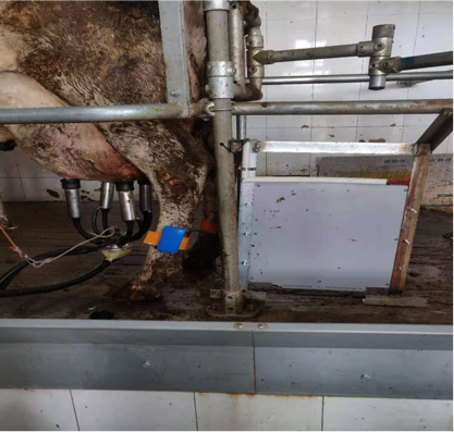 DB�羺(DBGame)�ٷ���վ