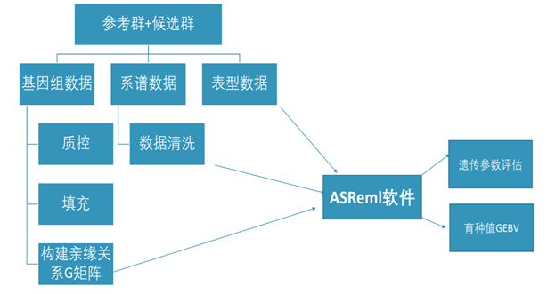 DB�羺(DBGame)�ٷ���վ