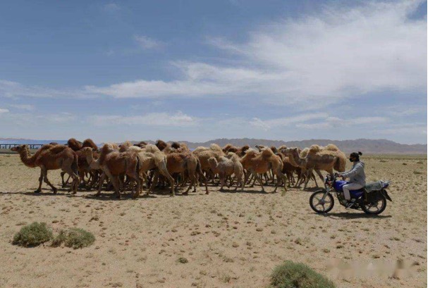 DB�羺(DBGame)�ٷ���վ