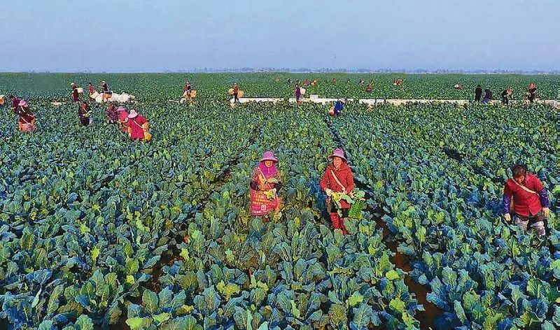 DB�羺(DBGame)�ٷ���վ