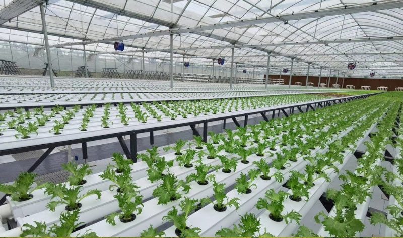 DB�羺(DBGame)�ٷ���վ