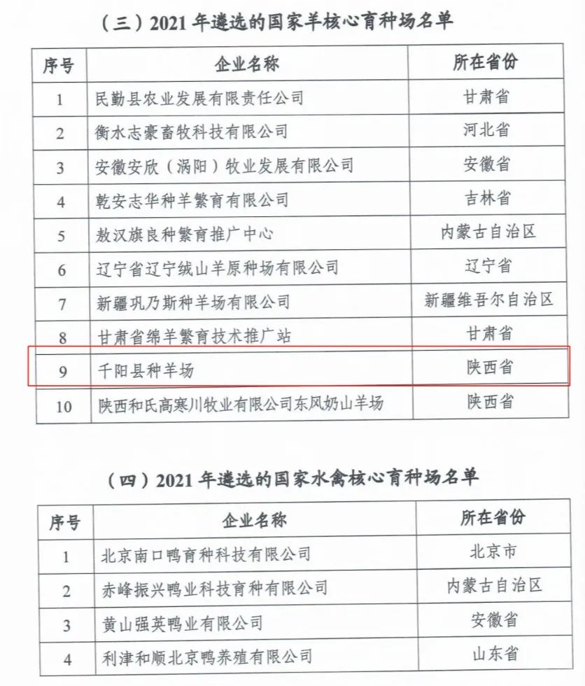 DB�羺(DBGame)�ٷ���վ