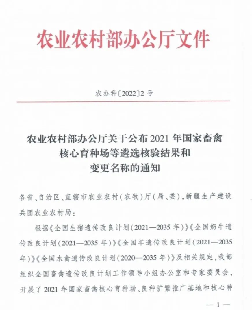 DB�羺(DBGame)�ٷ���վ