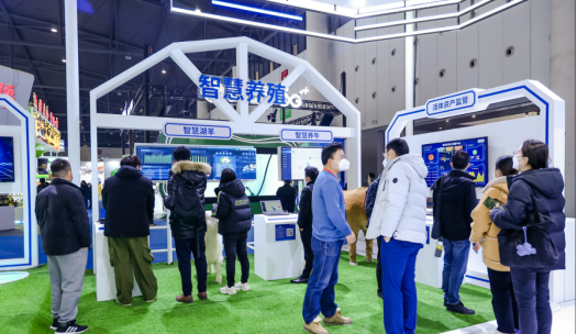 DB�羺(DBGame)�ٷ���վ