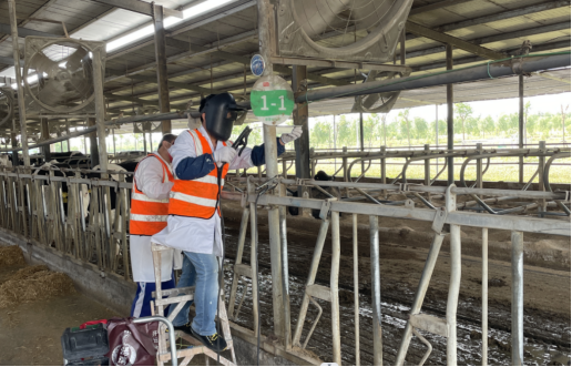 DB�羺(DBGame)�ٷ���վ