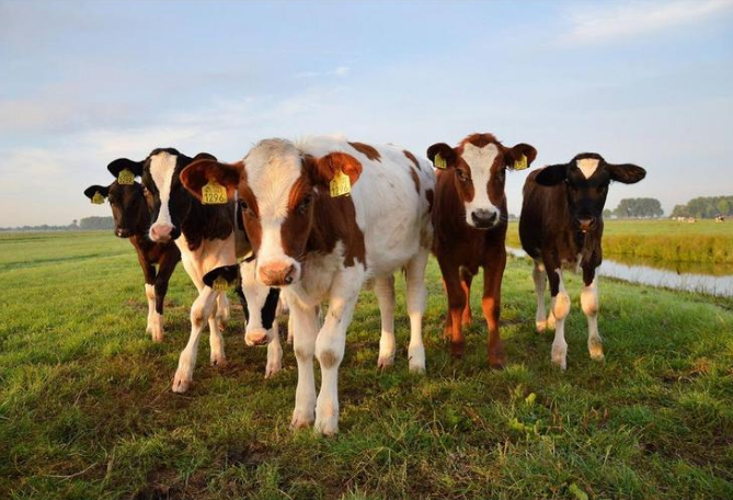 DB�羺(DBGame)�ٷ���վ