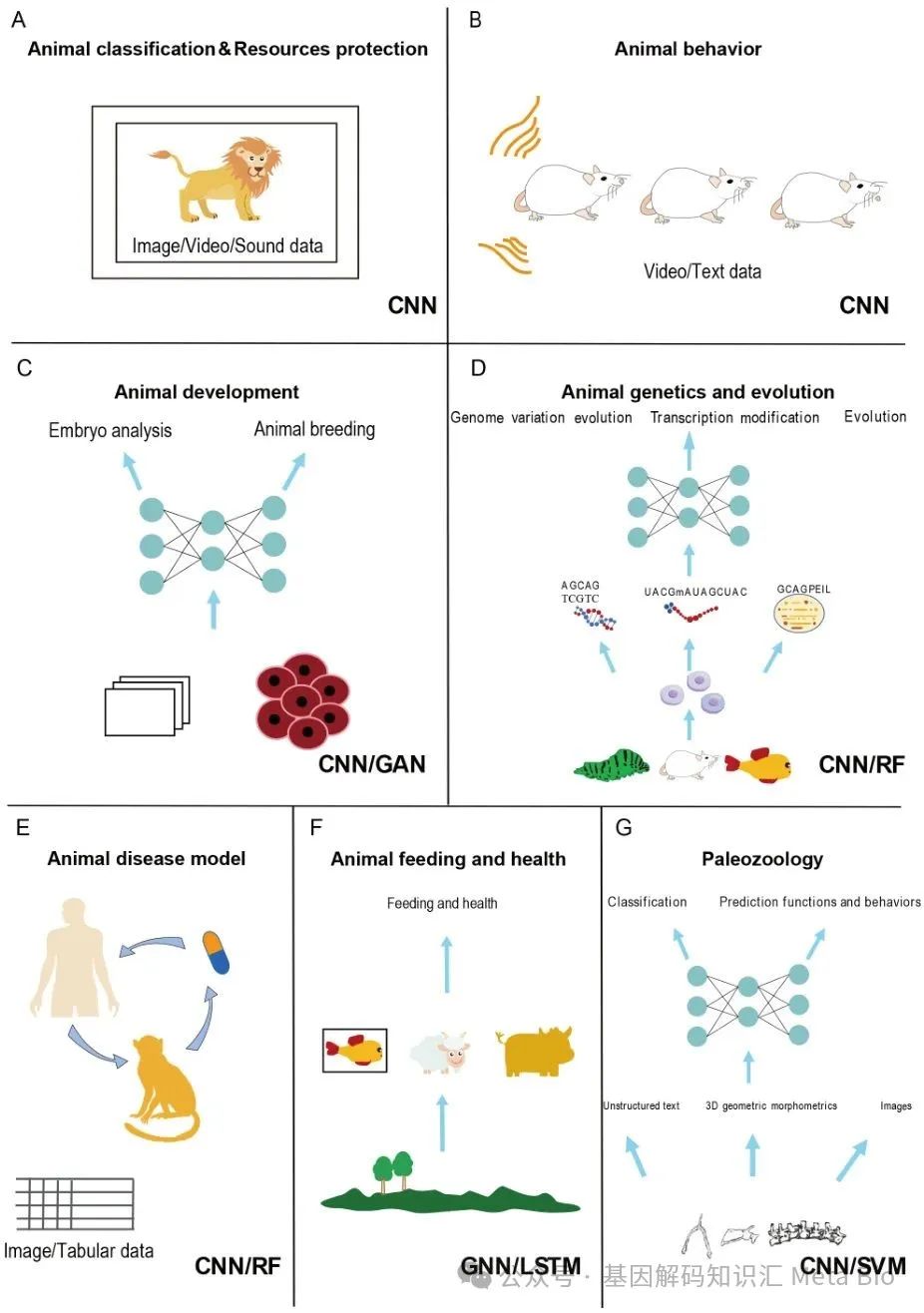 DB�羺(DBGame)�ٷ���վ