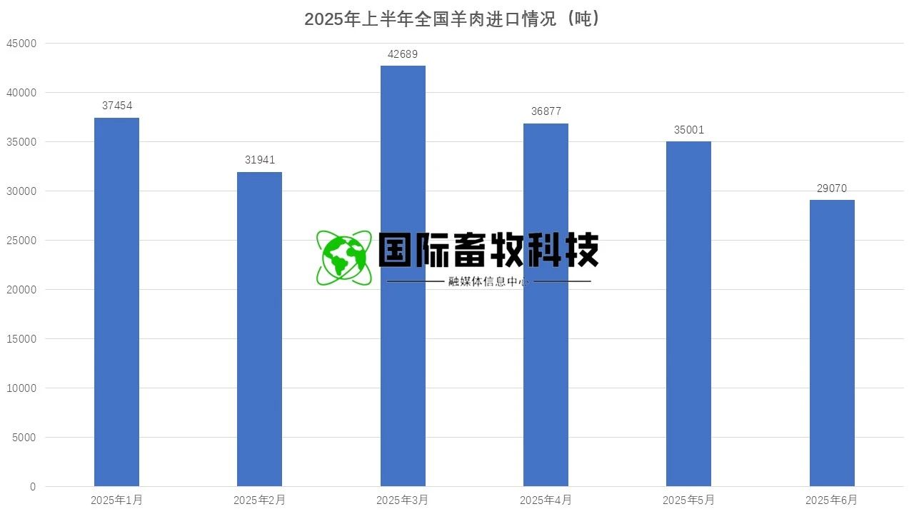 DB�羺(DBGame)�ٷ���վ