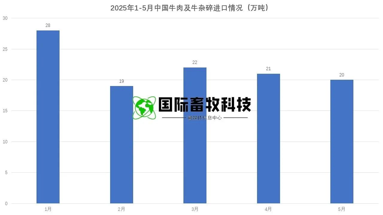 DB�羺(DBGame)�ٷ���վ